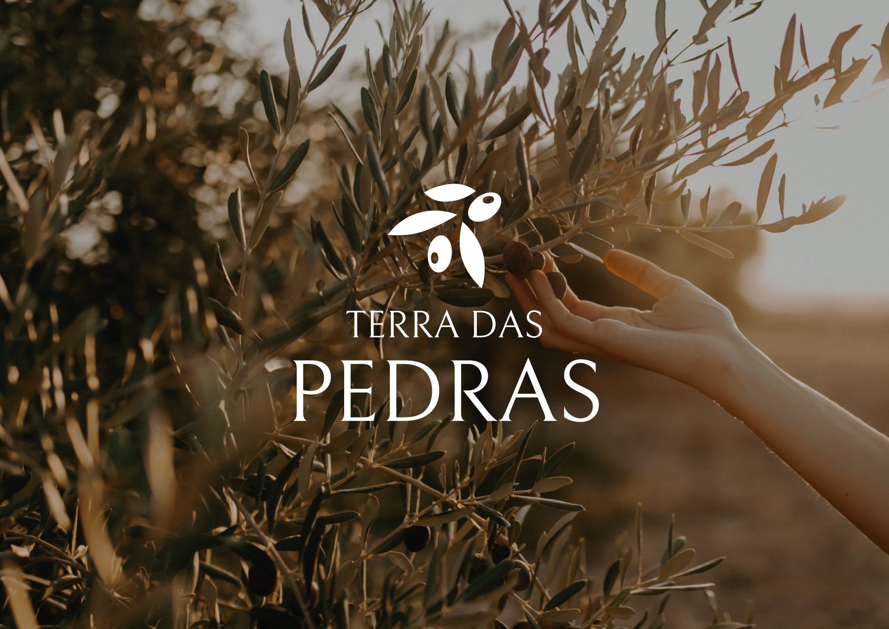 Terra das Pedras