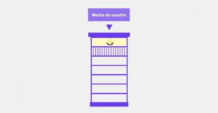 Pragas e Auxiliares | Traça da Cera | AgroB