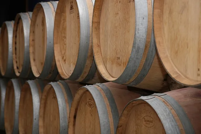 Cultiva-te | Influência do tipo de solo na qualidade do vinho | AgroB