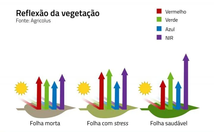 NDVI | Agricultura de precisão | Agrob