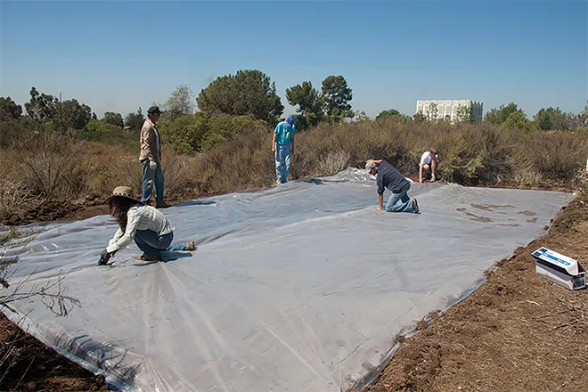 Solarização | Agricultura Biológica | AgroB