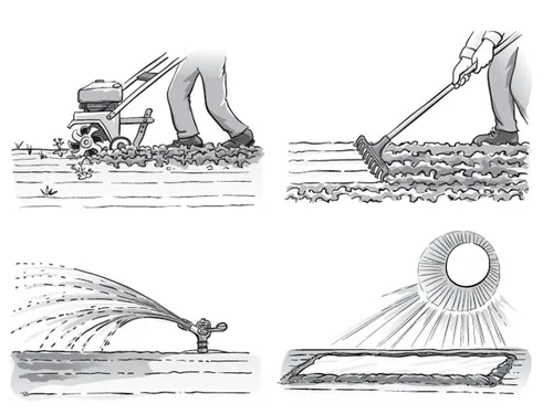 Solarização | Agricultura Biológica | AgroB
