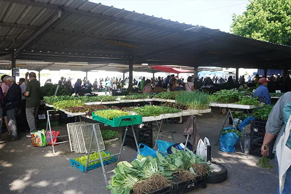 Visita Técnica sobre Circuitos Curtos | Mercado de Produtores de Viana do Castelo