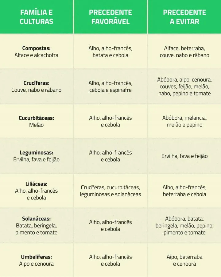 Agricultura Ecológica | Rotación de Cultivos | AgroB