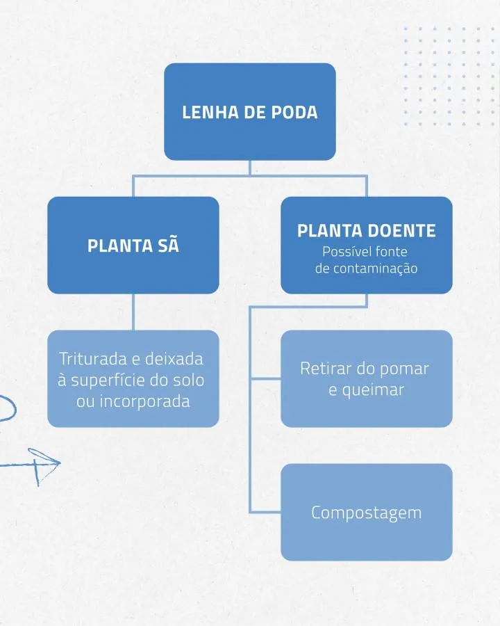 Gestão de lenha de poda | Boas práticas agrícolas | AgroB
