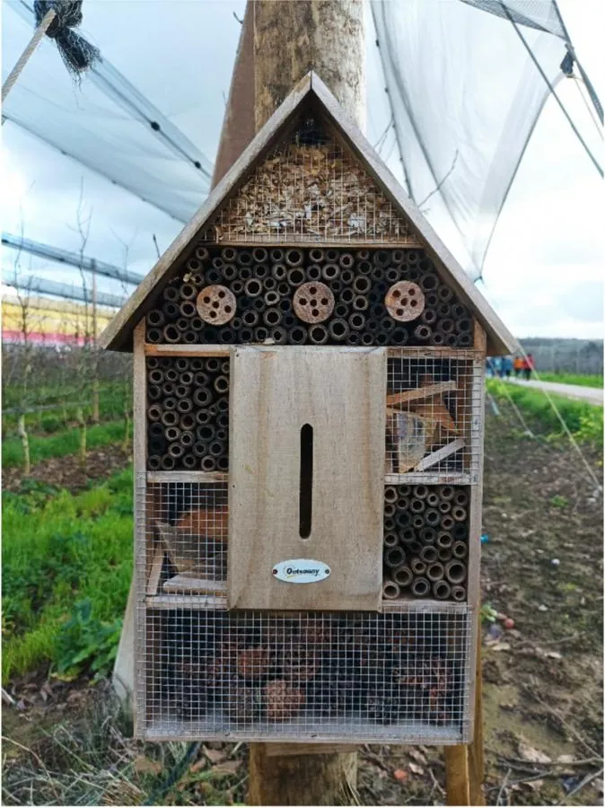 Hotel de Insetos | Agricultura Biológica | AgroB
