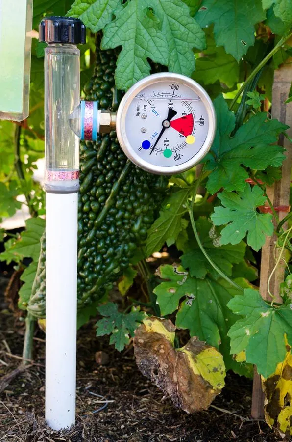 Water challenges in Portuguese agriculture | Espaço Visual