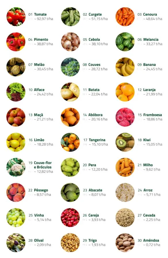 Top 30 culturas agricolas em portugal | Estudos do setor agrícola | Espaço Visual