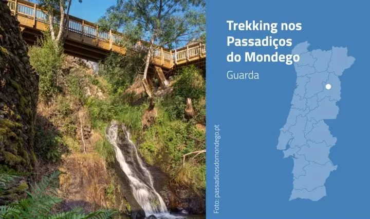 Motivações de turista em Espaço Rural | AgroB