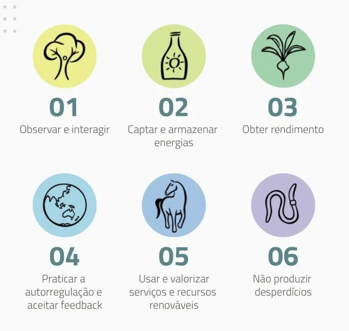 Permacultura | AgroB