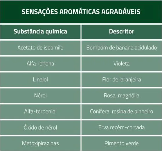 Aromas e Sabores dos Vinhos | Espaço Visual