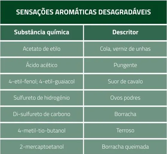Aromas e Sabores dos Vinhos | Espaço Visual