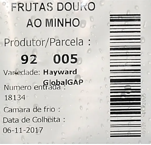 Boas práticas – Colheita kiwi | AgroB