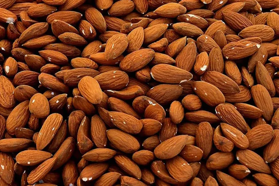 Amêndoa: Fruto ou Semente? | Cultiva-te | AgroB