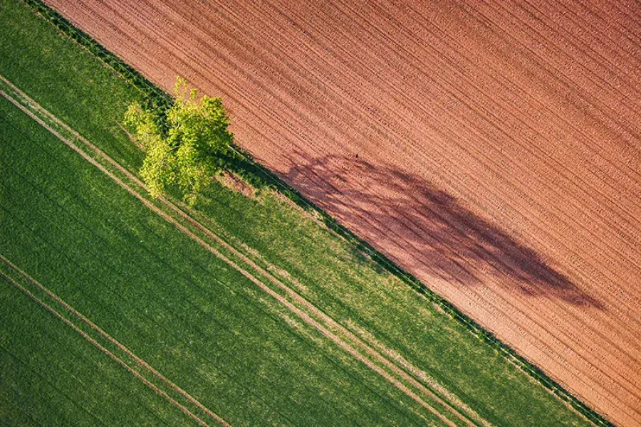 Impactos da Agricultura Sustentável | Cultiva-te | AgroB
