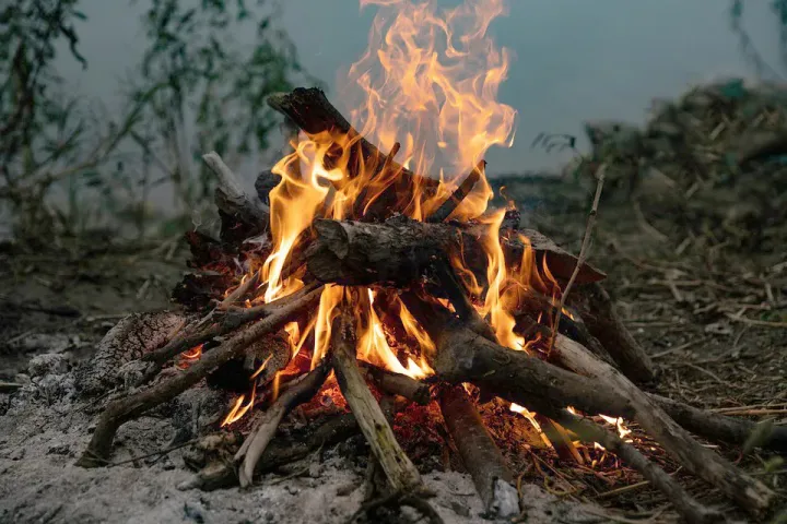 Queima de excedentes de poda
