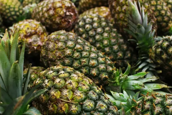 Portugal por explorar | Ilhas | Ananás e Banana | AgroB