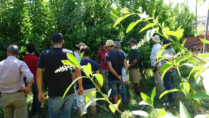 Visita Técnica no Limão | Formações Presenciais | AgroB