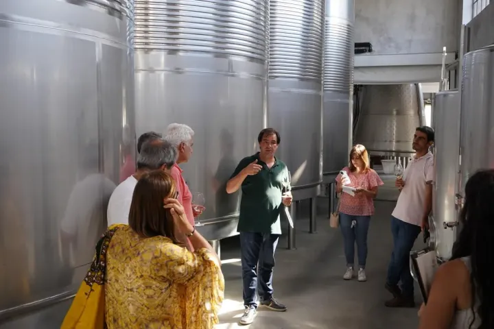 Visita Técnica da Vinha no Douro | AgroB | Práticas de campo