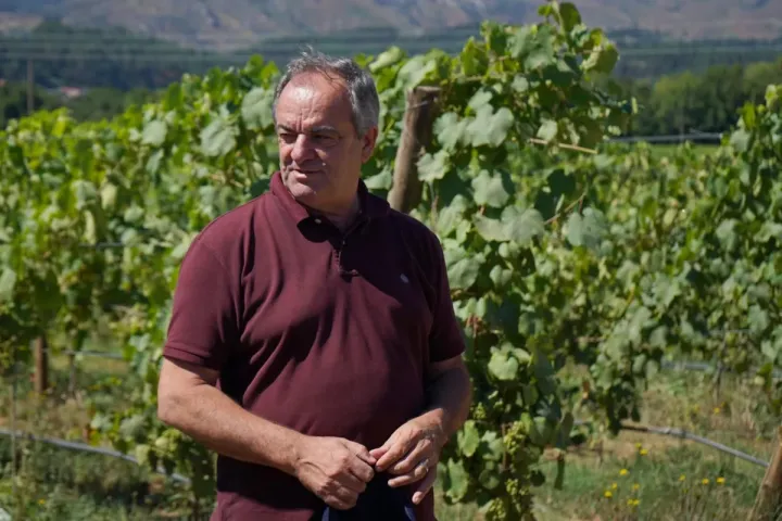 Visita Técnica da Vinha: Região dos Vinhos Verdes | Formação presencial | AgroB