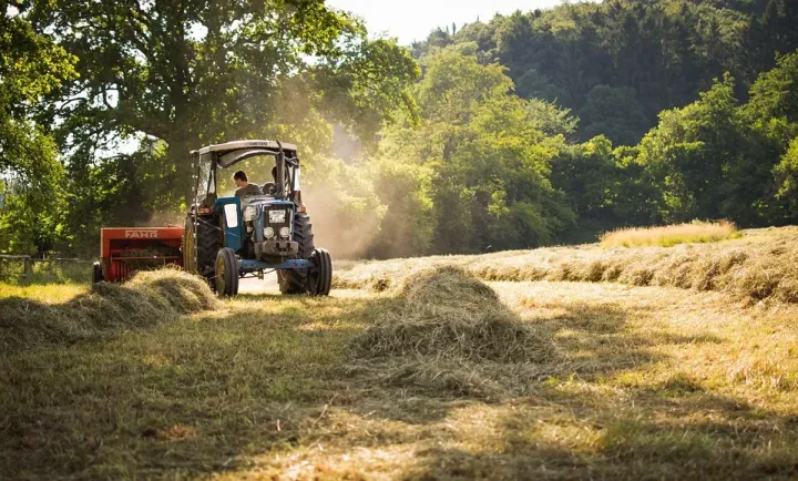 Gestão de combustível nas florestas | Agricultura e Sustentabilidade |AgroB