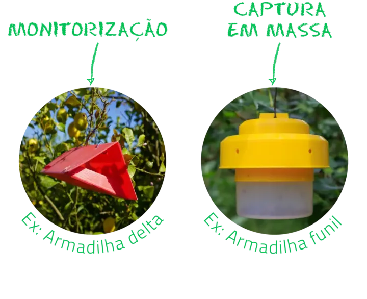 Armadilhas | Agricultura Biológica | AgroB