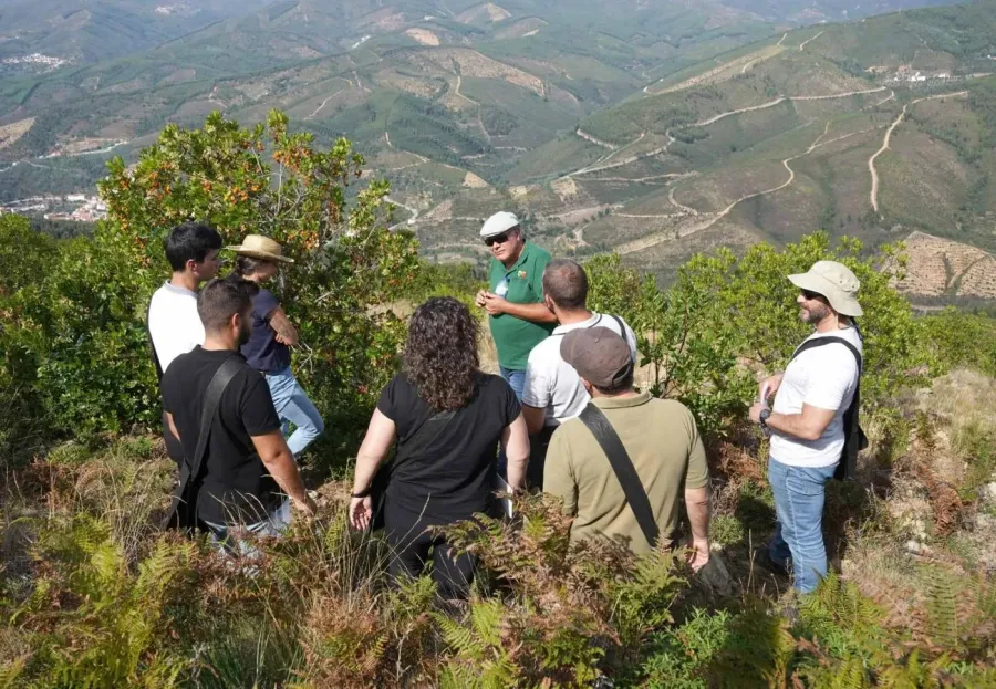 Formação de Campo do Medronho 2023 | Práticas de Campo | AgroB