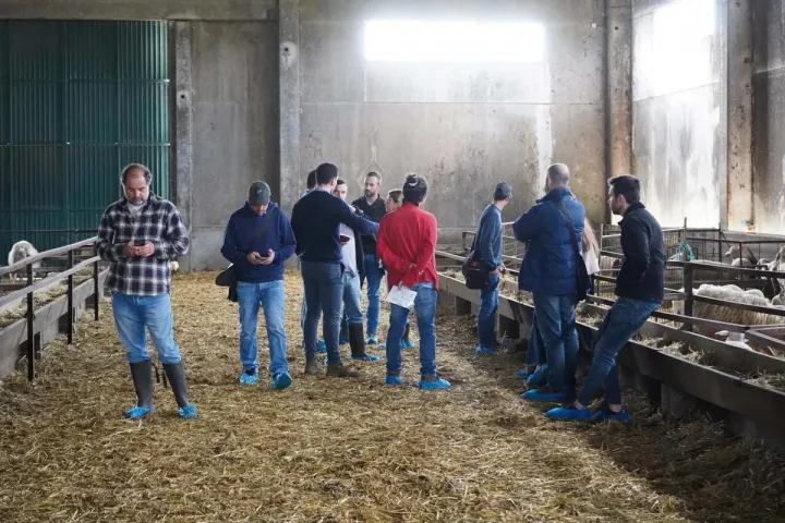Visita Técnica: Ovinos | Formação de Campo | Agrob