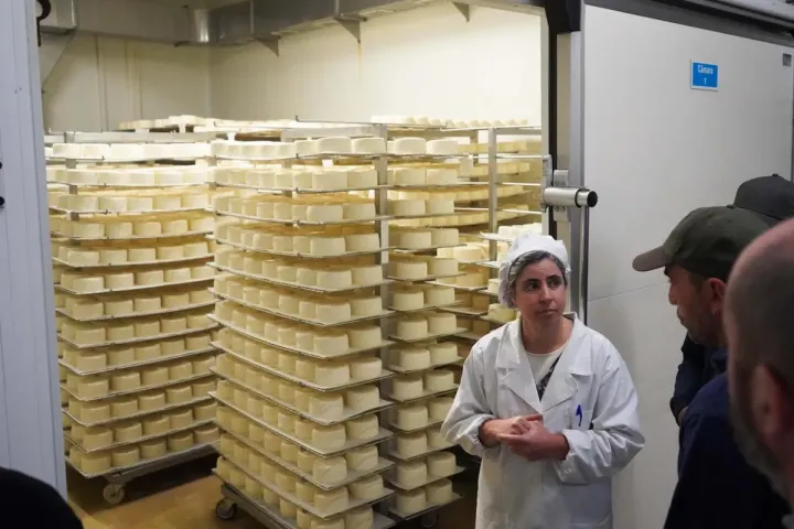 Visita Técnica: Ovinos | Formação de Campo | Agrob