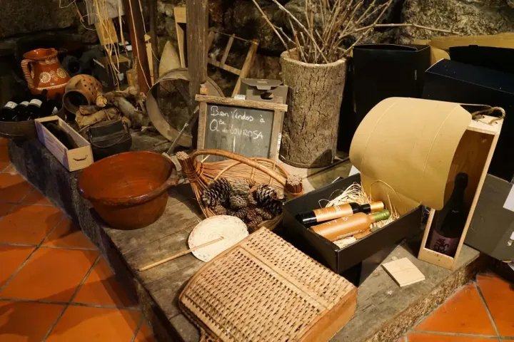 Visita Técnica: Quinta de Lourosa | AgroB