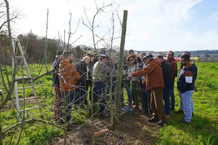Formação de Campo | Poda das Pomóideas | AgroB