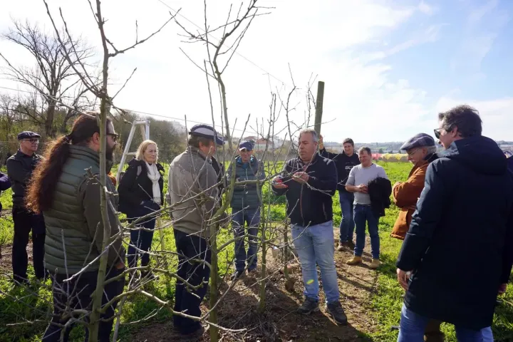 Formação de Campo | Poda das Pomóideas | AgroB