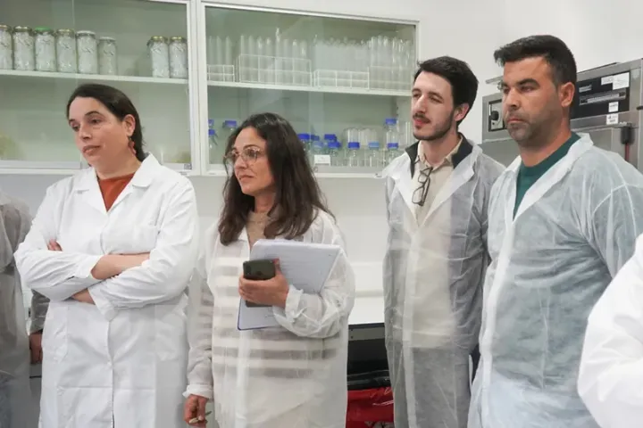 Prática Laboratorial sobre Fitobacteriologia | Visitas e Práticas de Campo | AgroB