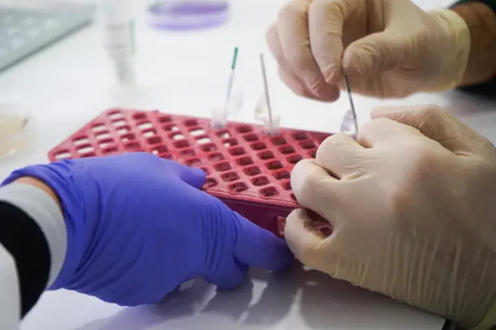 Prática Laboratorial sobre Fitobacteriologia | Visitas e Práticas de Campo | AgroB