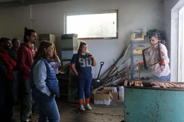 Formação de Campo de Apicultura | AgorB