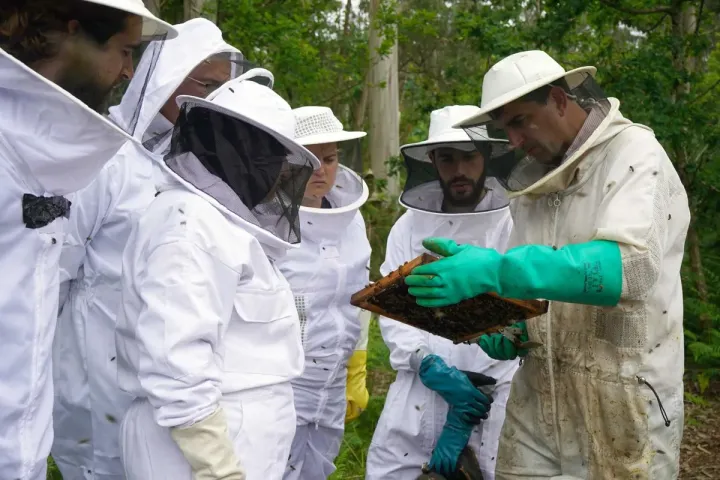 Formação de Campo de Apicultura | AgorB