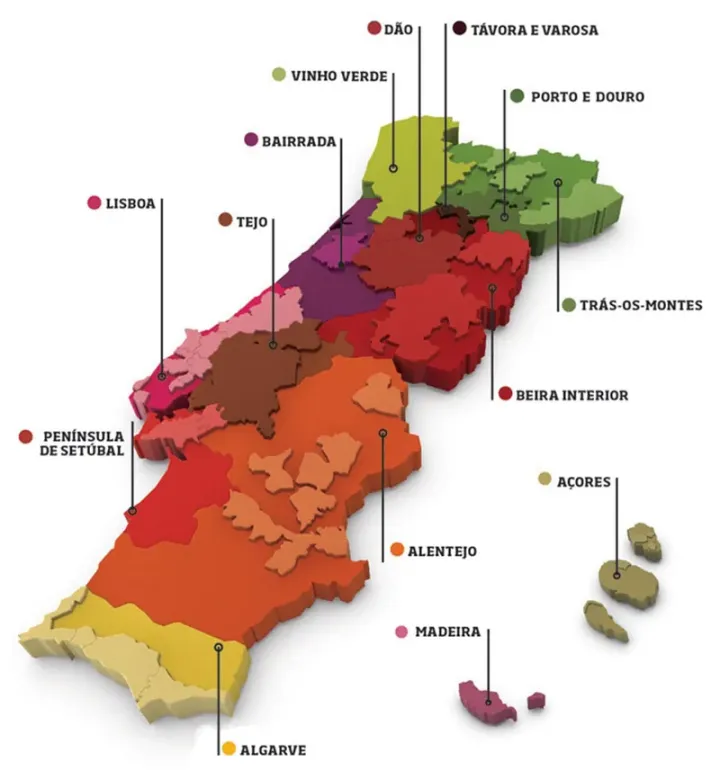 Castas de Vinha Produzidas em Portugal | AgroB