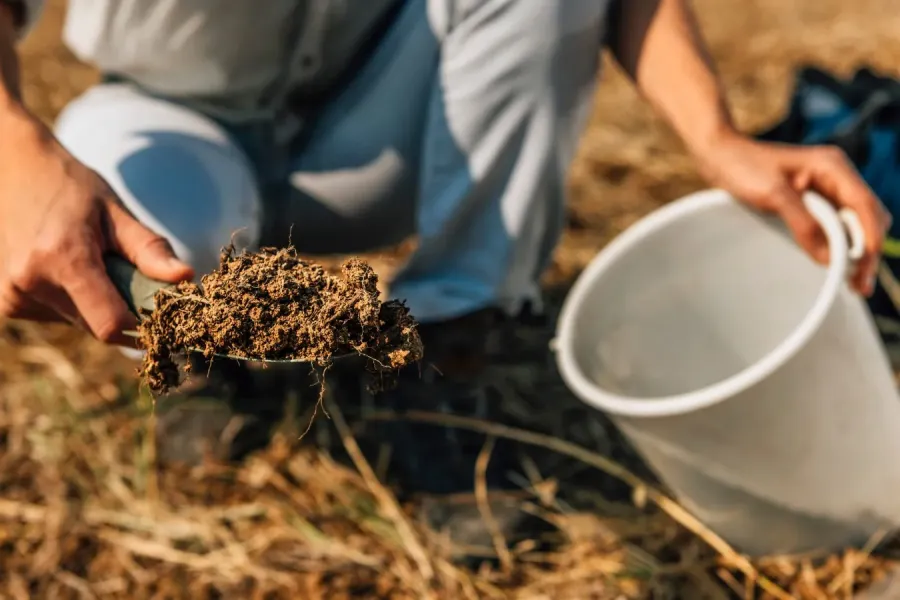 Compostagem de resíduos orgânicos, o caminho para uma agricultura mais sustentável