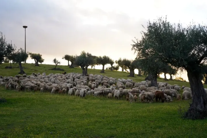 Sustentabilidade e gestão de resíduos