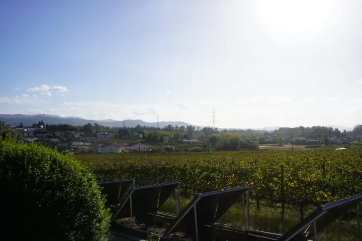 Vista Varanda Vinha