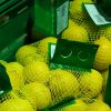 Cultura do Limão | Comercialização de limão