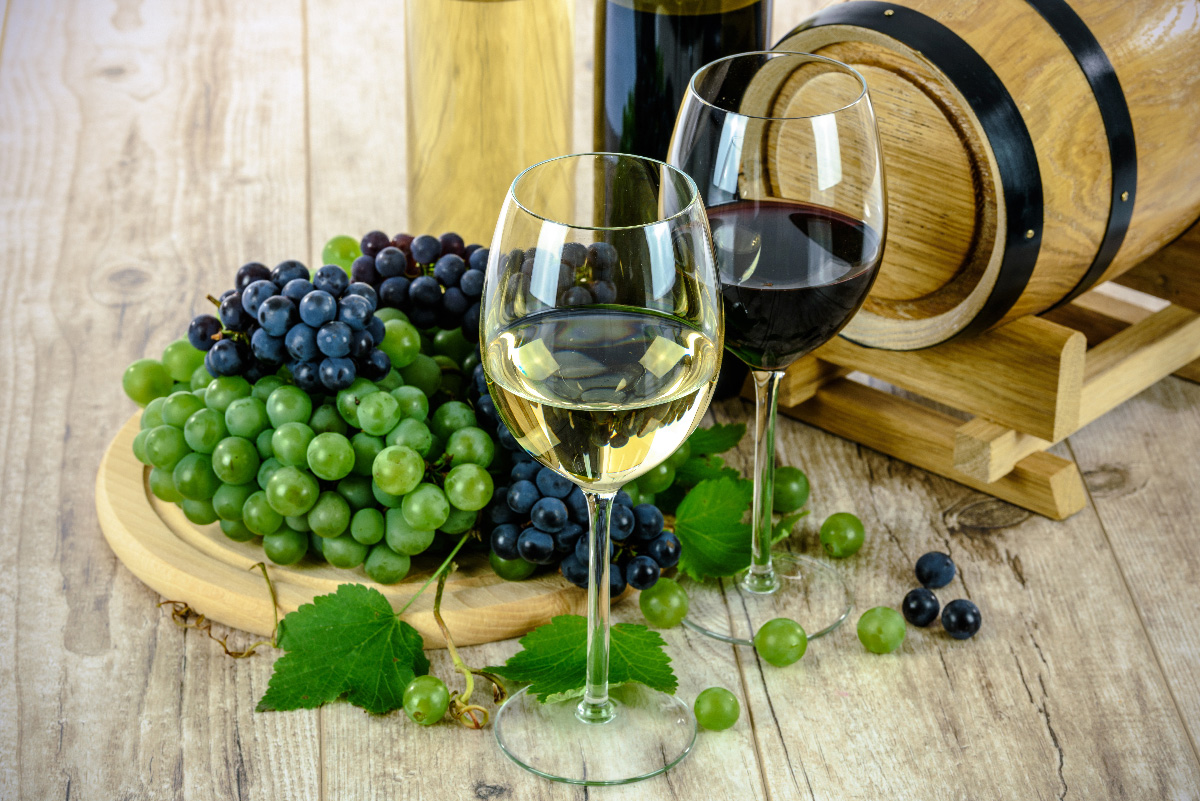 O Estado da Arte da Fileira do Vinho Verde | AgroMeetings | Espaço Visual