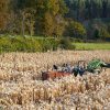 Mecanização Agrícola | Debulhadora