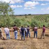 Fertilização Sustentável no Olival | Formandos na exploração