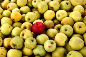 FrutFruta imperfeita | Fruta feia | Agricultura e Sustentabilidade | AgroB