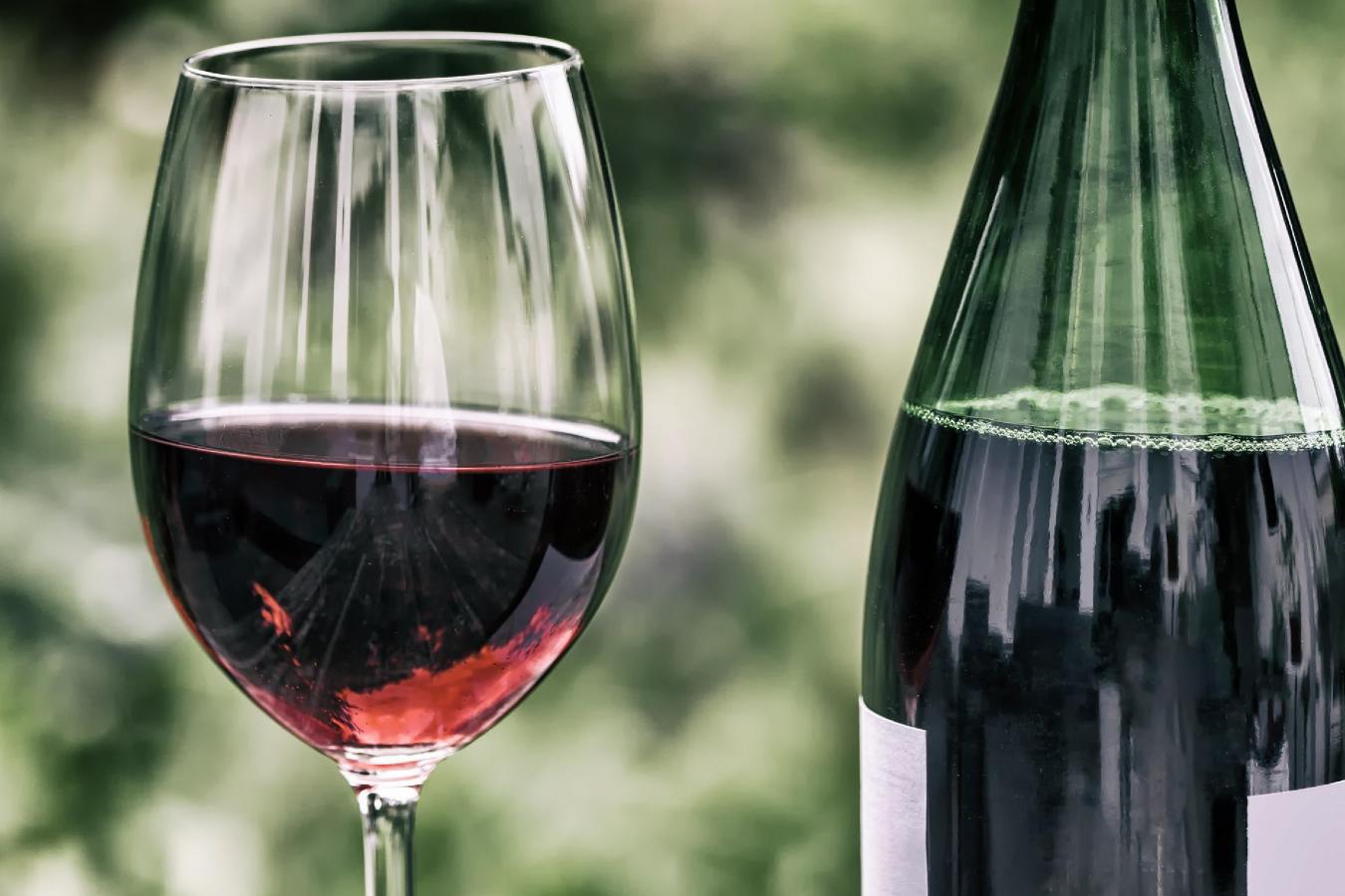 Influência do Tipo de Solo na Qualidade do Vinho | Cultiva-te | AgroB