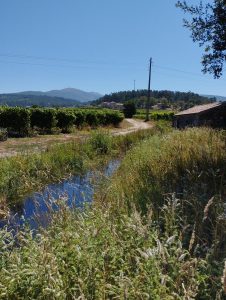 Visita Técnica da Vinha: Região dos Vinhos Verdes | Formação presencial | AgroB