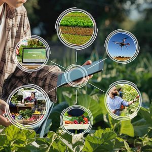 Sistemas Agroalimentares Sustentáveis e Comercialização em Circuitos Curtos | Pós-graduação AgroB e IPVC