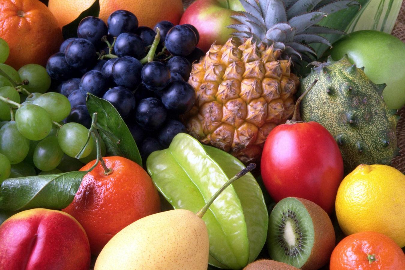 Capa - Experiência de um fruticultor - Fruta variada