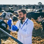 Sanidade Animal | Formação Jovem Agricultor | AgroB